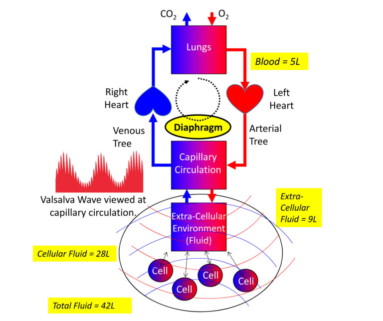 Resonant circulation